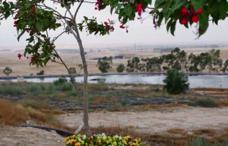 Tu Bishvat Seder