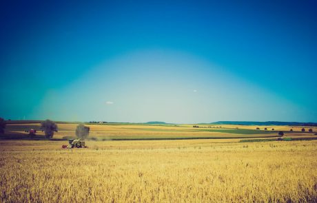 Understanding Shmita: Israel’s Agricultural Shabbat