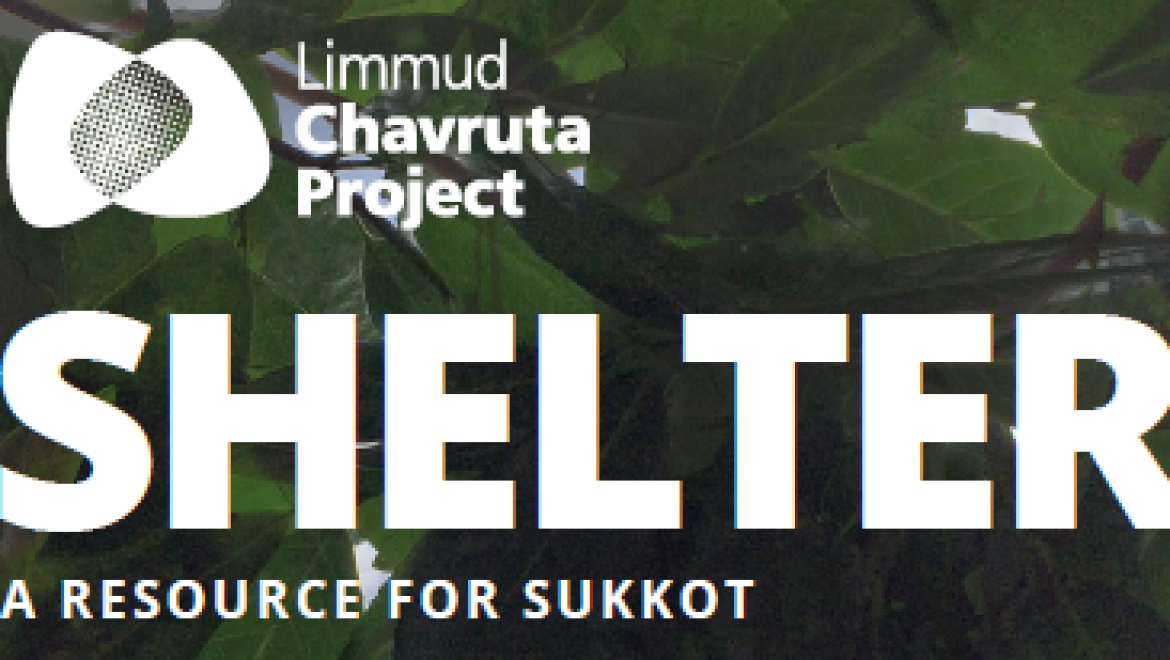 Shelter: A Resource for Sukkot from Limmud