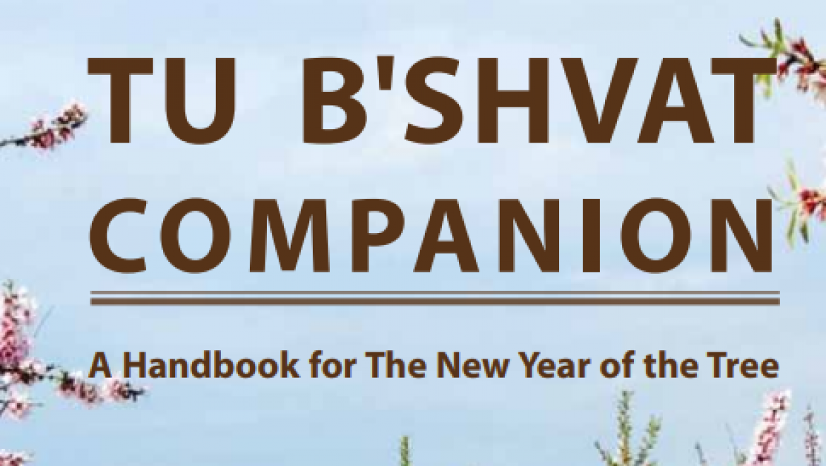 Tu B’Shvat Companion: A Handbook for the New Year of the Tree