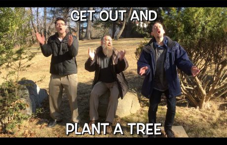 Shir Soul: Get Out and Plant A Tree