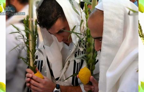 Sukkot: A Celebration for Every Nation