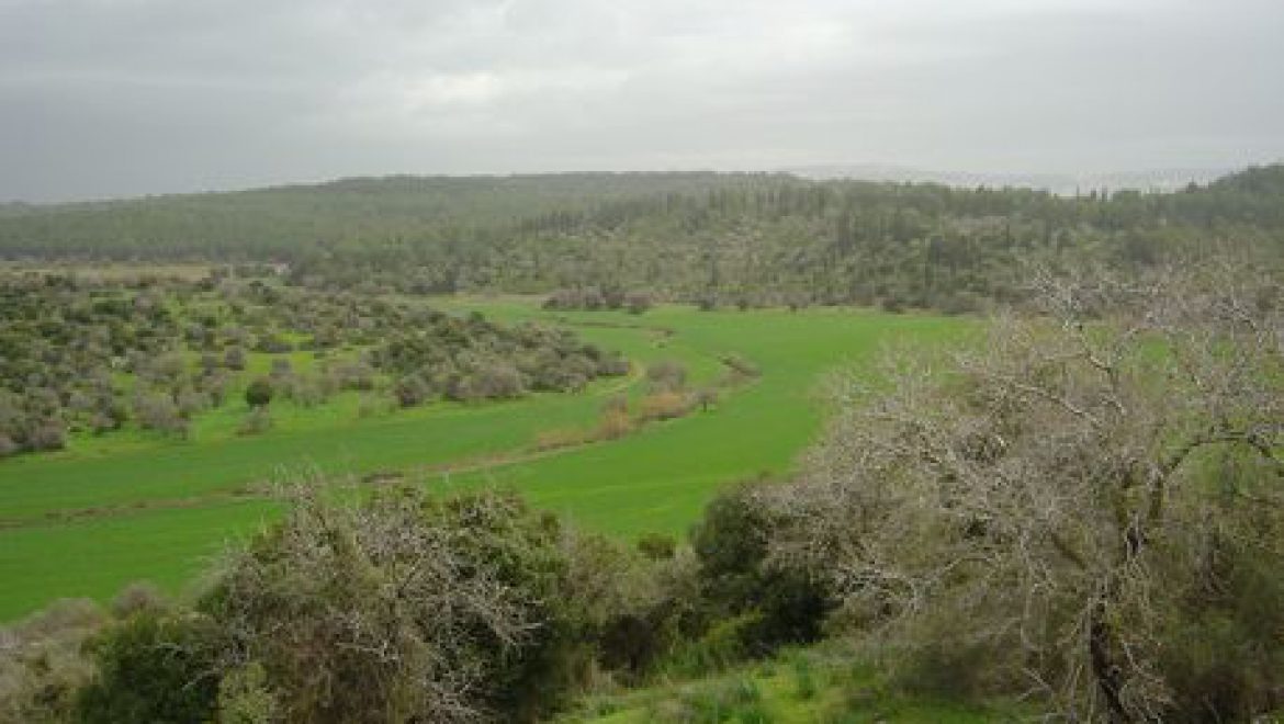 Tzippori Forest: Israel during the Talmudic Period